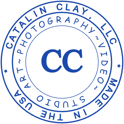 Customize this round Indian business seal in SealsDigital #0601339 Round Indian business seal with “CC” lettering and curved text, SealsDigital #0601339